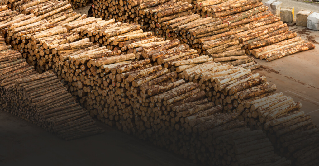 Kelt Forestry Group